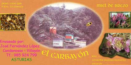 Etiqueta "EL CARBAYN"