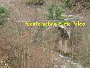 Puente Polea